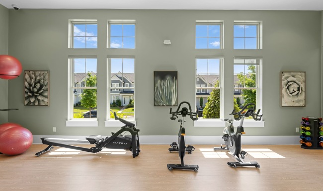 Light-Filled Yoga and Fitness Studio Bright fitness center with rowing machine, stationary bikes, yoga balls, and dumbbell weights